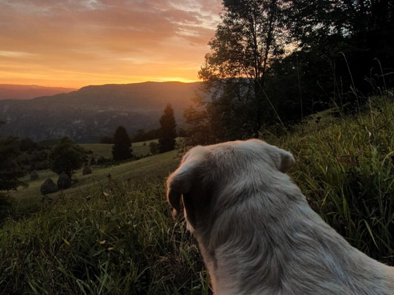 Sunrise, Snakes and Finding Myself (Again) in Serbia (Part One)